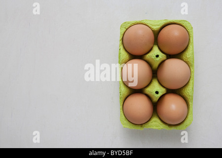 Sei uova di colore marrone in una confezione di uova Foto Stock