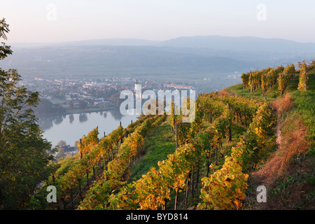 Vista di Mautern sul Danubio come si vede dalla Steiner Kreuz croce, valle di Wachau, regione Waldviertel, Austria inferiore Foto Stock