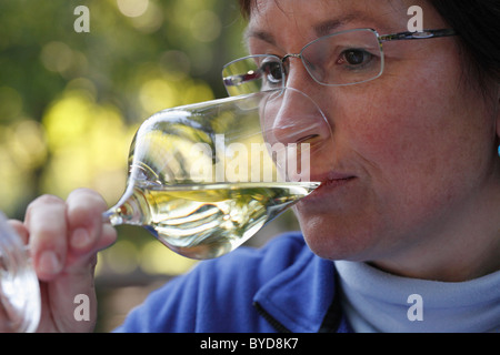 Donna di degustazione di vino bianco, Wachau, Waldviertel, Austria Inferiore, Austria, Europa Foto Stock