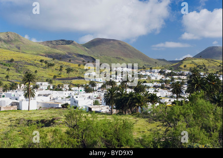 Palm oasis di Haria, Lanzarote, Isole Canarie, Spagna, Europa Foto Stock