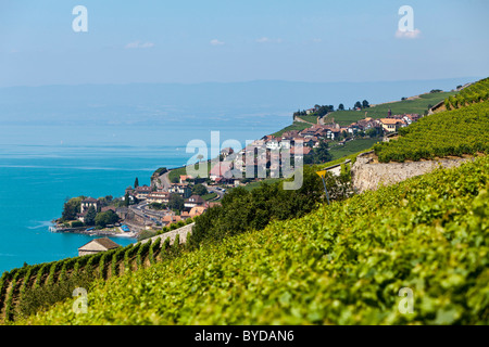 View across the vineyards near Vevey towards St Saforin, Lake Geneva at back, Vevey, Canton Vaud, Lake Geneva, Switzerland Foto Stock