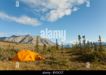 Spedizione tenda, tundra artica, camping, Mackenzie montagne dietro, Wind River, Yukon Territory, Canada Foto Stock