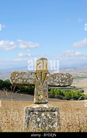 Guscio di capesante e croce, Camino de Santiago o il modo di St James, Puente la Reina, Pamplona, Navarra, Spagna, Europa Foto Stock