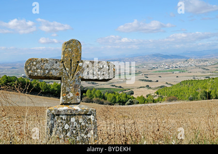 Guscio di capesante e croce, Camino de Santiago o il modo di St James, Puente la Reina, Pamplona, Navarra, Spagna, Europa Foto Stock