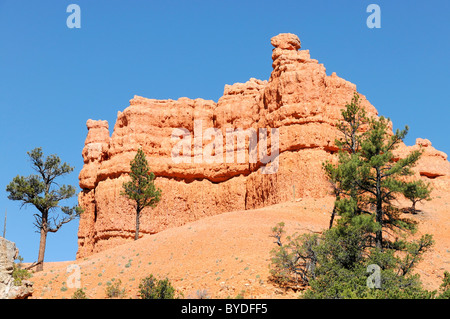 Rocce Rosse nella Red Canyon, Hillsdale, Panguitch, Utah, Stati Uniti d'America, America del Nord Foto Stock