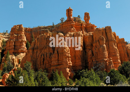 Rocce Rosse nella Red Canyon, Hillsdale, Panguitch, Utah, Stati Uniti d'America, America del Nord Foto Stock