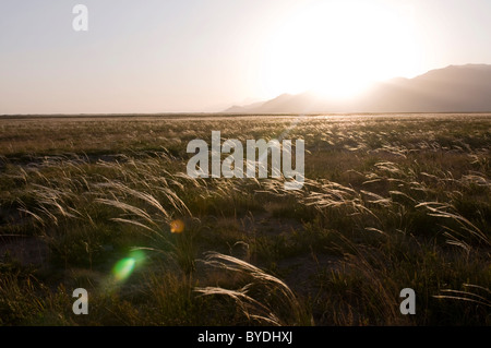 Montagne di Sary Tash a sunrise, Kirghizistan, Asia centrale Foto Stock