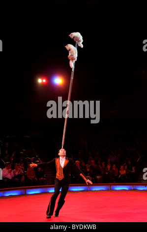 Acrobat e la sua esecuzione di gatti, Vlad Olandar con bianco gatti Angora, circo Krone, Monaco di Baviera, Germania, Europa Foto Stock