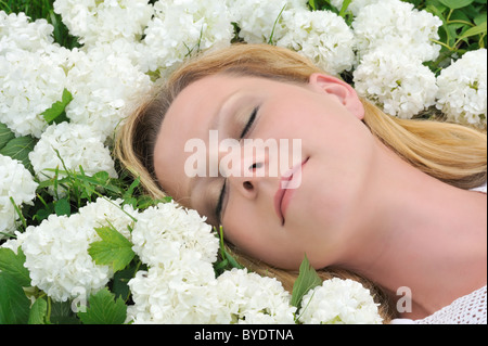 Giovane donna posa in fiori - snowballs Foto Stock