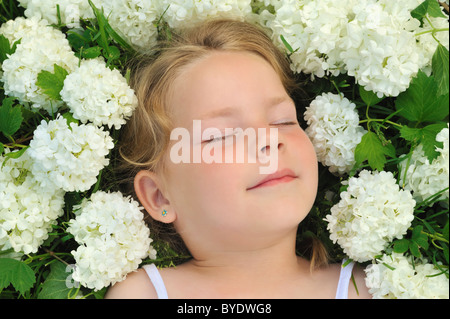 Bambina posa in fiori - snowball Foto Stock