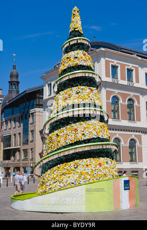 Cinquecentesimo giubileo albero di Natale, la Town Hall Square, Ratslaukums, città vecchia, Vecriga, Riga, Lettonia, Nord Europa Foto Stock