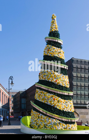 Cinquecentesimo giubileo albero di Natale, la Town Hall Square, Ratslaukums, città vecchia, Vecriga, Riga, Lettonia, Nord Europa Foto Stock