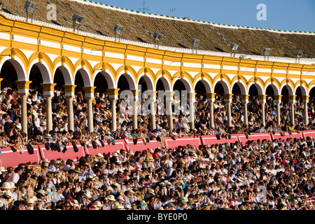 Pubblico / folla di spettatori / / spettatore a Siviglia corrida / Bull Ring / Plaza de Toros de la Maestranza. Siviglia. Spagna. Foto Stock