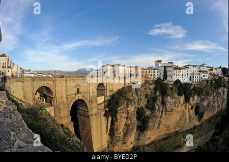 Puente Nuevo, nuovo ponte, Ronda, Andalusia, Spagna, Europa Foto Stock