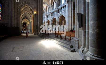 Cathédrale Notre-Dame, cattedrale di Losanna, ex chiesa episcopale della diocesi di Losanna, oggi principale chiesa protestante di Foto Stock