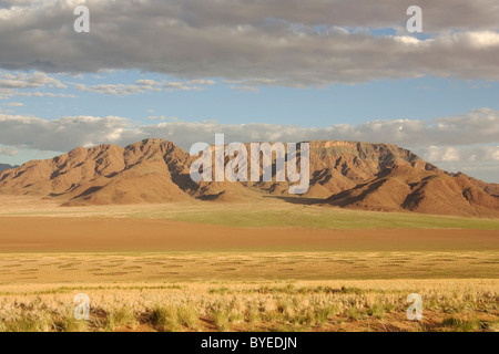 NamibRand Riserva naturale durante la stagione delle piogge con vegetazione verde sul bordo del deserto del Namib Foto Stock