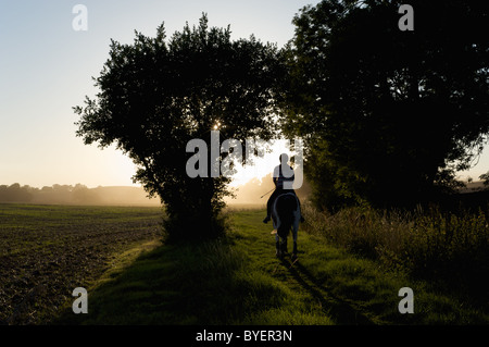 Un solitario cavaliere a cavallo in poco Alne, Stratford-su-Avon, Warwickshire, Inghilterra, Regno Unito Foto Stock