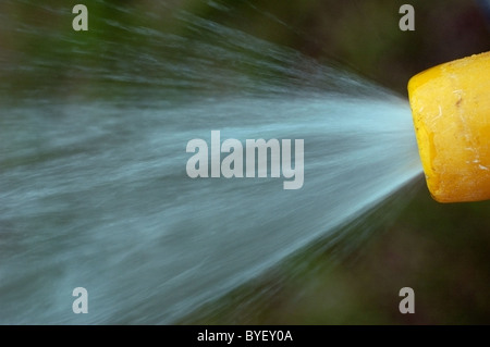 Un tubo flessibile giallo ugello la spruzzatura di acqua in un giardino. Una macro shot con un ben al di fuori della messa a fuoco lo sfondo. Foto Stock