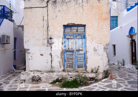 Lo zenzero cat in piedi vicino ad un vecchio decrepito casa nella città di Parikia, sul Greco Cyclade isola di Paros. Foto Stock