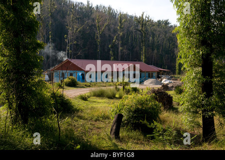 Ricostruzione su un tracciato bruciato dopo i devastanti incendi che hanno colpito i Marysville Foto Stock
