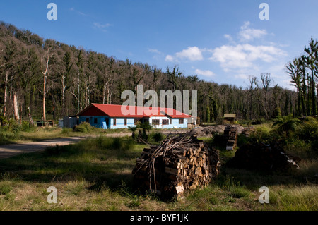 Ricostruzione su un tracciato bruciato dopo i devastanti incendi che hanno colpito i Marysville Foto Stock