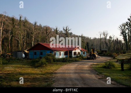Ricostruzione su un tracciato bruciato dopo i devastanti incendi che hanno colpito i Marysville Foto Stock