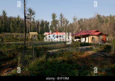 Ricostruzione su un tracciato bruciato dopo i devastanti incendi che hanno colpito i Marysville Foto Stock