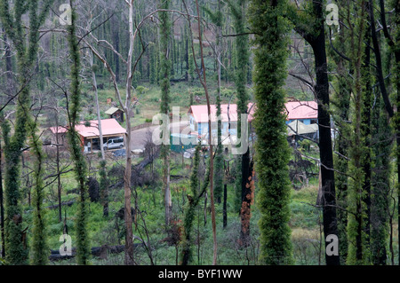 Ricostruzione su un tracciato bruciato dopo i devastanti incendi che hanno colpito i Marysville Foto Stock