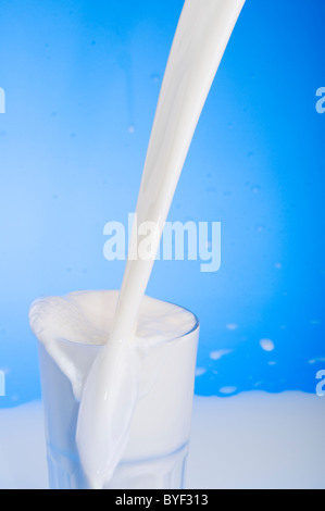 Flusso di latte che viene versato in un bicchiere su sfondo blu. Foto Stock