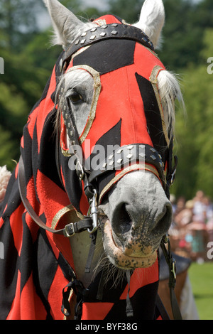 Un cavallo grigio (steed) indossando i cavalieri colori del rosso e del nero e una pelle costellata briglia si prepara per la battaglia Foto Stock