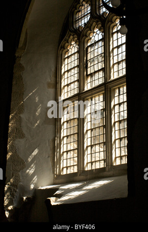 La luce del sole proveniente attraverso il vetro al piombo di Branscombe chiesa in Devon Foto Stock