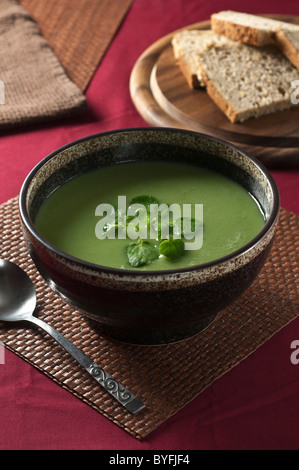 Zuppa di crescione Foto Stock