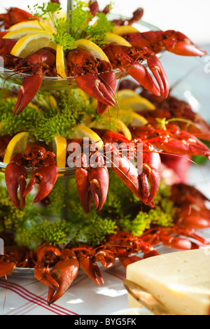 Pasto con astaci sul tavolo per esterno Foto Stock