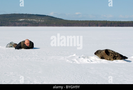 L uomo giace sulla neve e guarda alla guarnizione inanellato vicino a ice-foro. Guarnizione Jar, netsik o nattiq (Pusa hispida), Mare Bianco, artiche, Russia Foto Stock