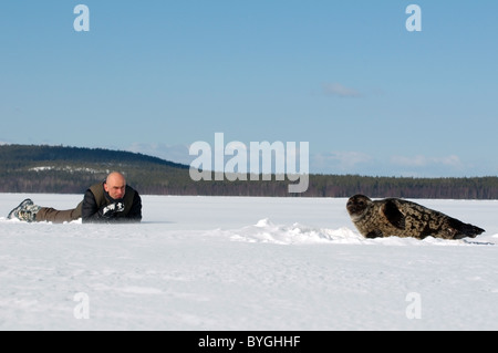 L uomo giace sulla neve e guarda alla guarnizione inanellato vicino a ice-foro. Guarnizione Jar, netsik o nattiq (Pusa hispida), Mare Bianco, artiche, Russia Foto Stock