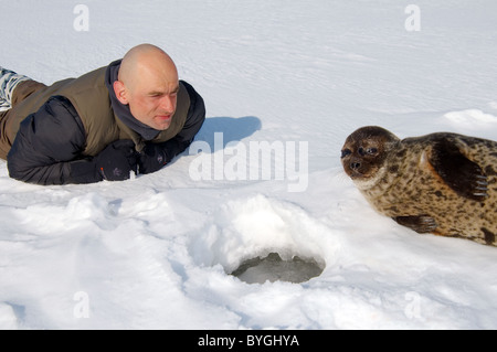 L uomo giace sulla neve e guarda alla guarnizione inanellato vicino a ice-foro. Guarnizione Jar, netsik o nattiq (Pusa hispida), Mare Bianco, artiche, Russia Foto Stock