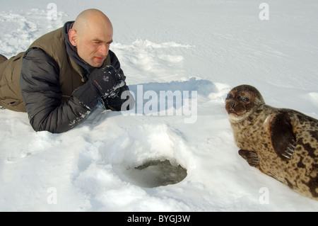 L uomo giace sulla neve e guarda alla guarnizione inanellato vicino a ice-foro. Guarnizione Jar, netsik o nattiq (Pusa hispida), Mare Bianco, artiche, Russia Foto Stock