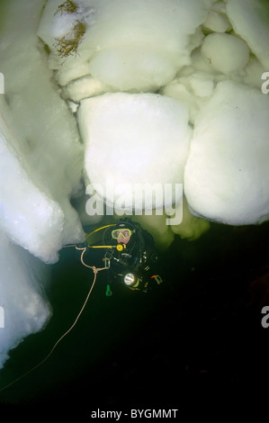 immersioni sotto il ghiaccio Foto Stock