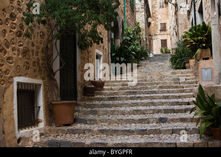 Passi fino viale nella città vecchia Foto Stock