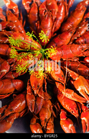 Pasto con astaci sul tavolo per esterno Foto Stock