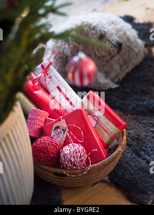 I regali di Natale nel cestello con il cane che giace sullo sfondo Foto Stock