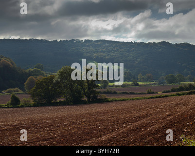 WYE VALLEY E TERRA ROSSA NR BIGSWEIR BRIDGE MONMOUTHSHIRE Foto Stock