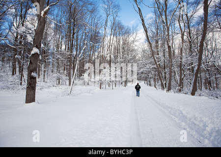 Strada innevata, Jockey cava, Morristown National Historical Park, New Jersey Foto Stock