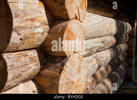 Giunti tra i tronchi nella parete della cabina di tronchi , Finlandia Foto Stock