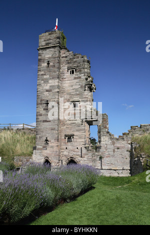 Il castello di Tutbury 2009, copyright Ian Shipley   www.isphotographic.co.uk Foto Stock