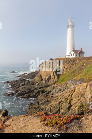 Faro di Pigeon Point, California, Stati Uniti d'America Foto Stock