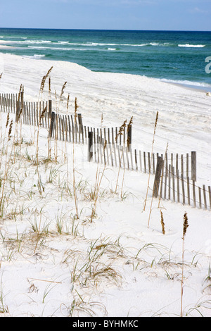 Recinzioni sabbia criss-cross lungo la spiaggia che aiutano a catturare sabbia e creare le dune lungo la costa del Golfo della Florida per evitare hurr Foto Stock