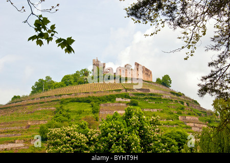 Le rovine di un castello sopra Staufen; Burgruine oberhalb von Staufen, Markgräflerland Foto Stock