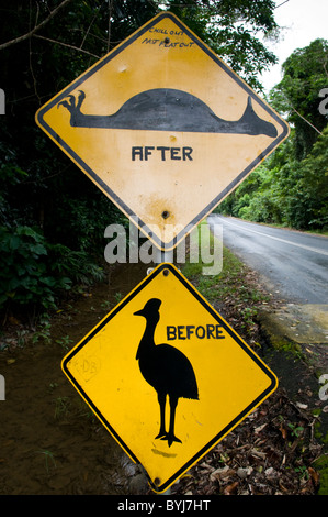 Un divertente firmare i driver di avvertimento di uccelli Casuario sulla strada nel Parco Nazionale Daintree Queensland Australia Foto Stock