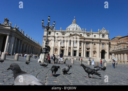 Piccioni in Piazza San Pietro e Città del Vaticano Foto Stock